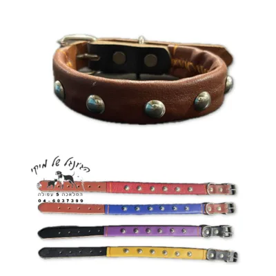 קולר עור + ניטים 22 מ"מ