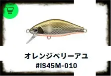ISSEN MAX 45MM 4G #010