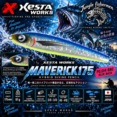XESTA MAVERICK 175 PG.014