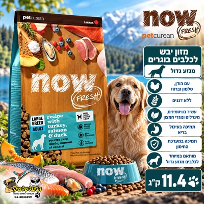 Now נאו מזון יבש ללא דגנים לכלבים בוגרים מגזע גדול 11.4kg