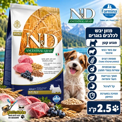 N&D נטוראל דלישס מופחת דגנים לכלבים בוגר מיני אנסס כבש ואוכמניות 2.5kg