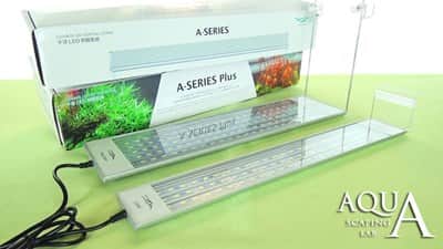 aquatic studio a901 55w/90cm